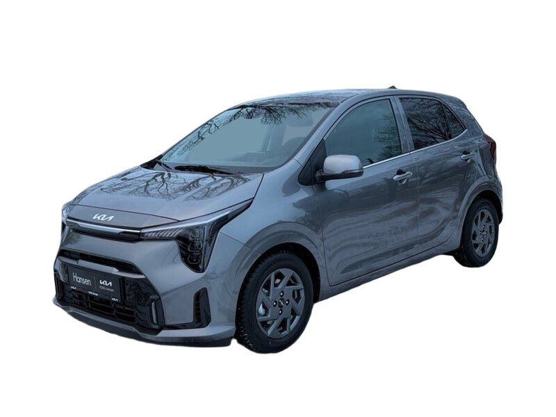 Kia Picanto occasion