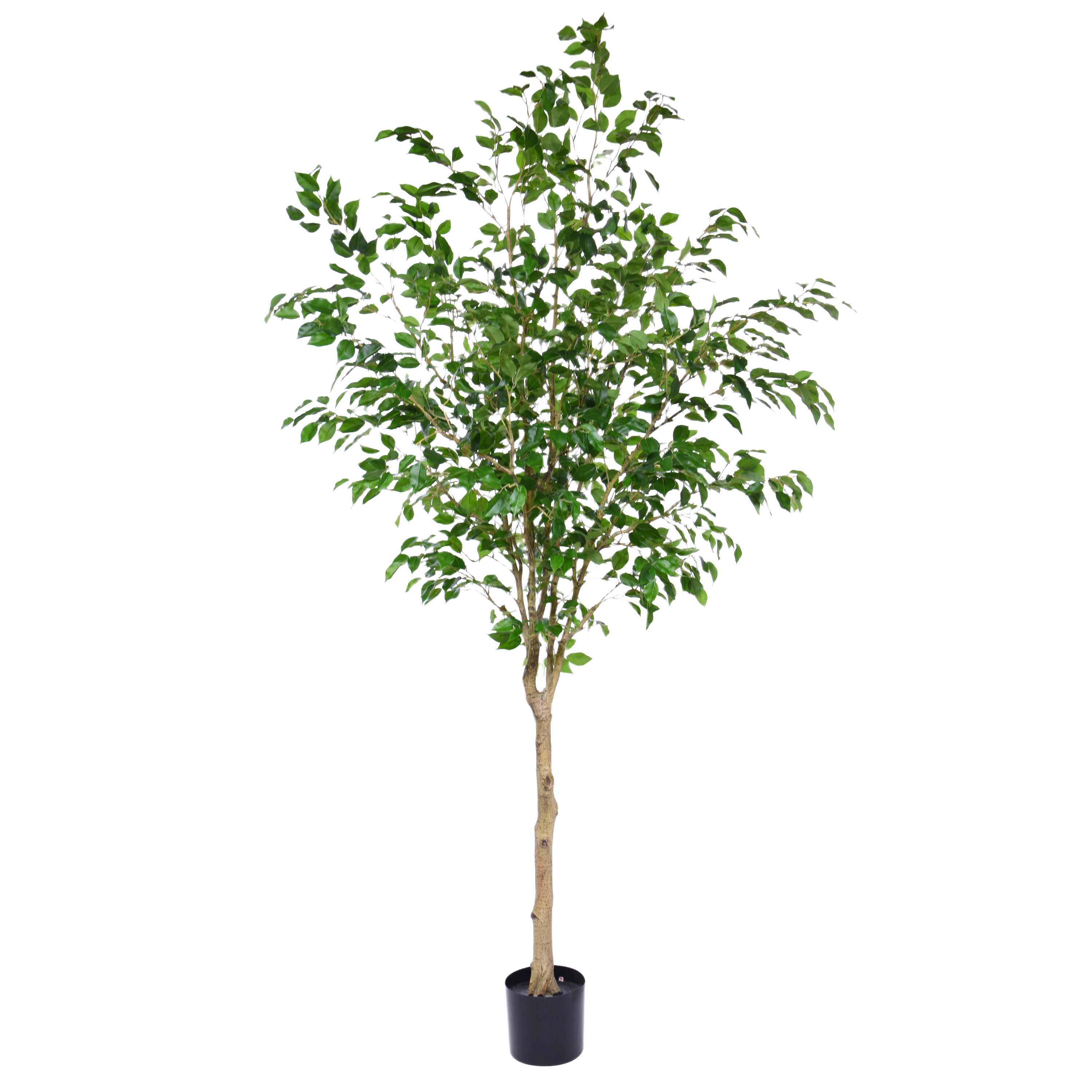 Ficus Exotica Kunstboom op stam 230cm
