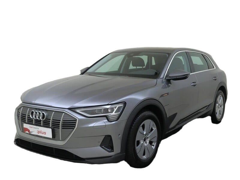 Audi e tron occasion