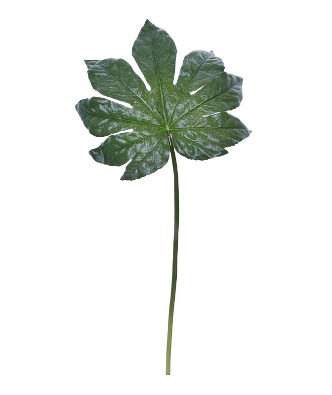 Fatsia kunstblad XL 81 cm