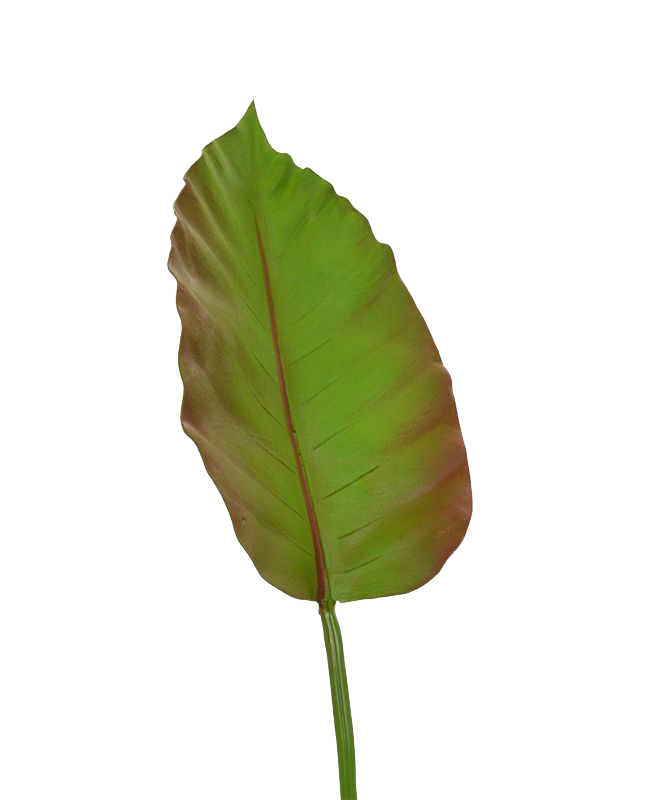 Caladium kunstblad deluxe 75 cm