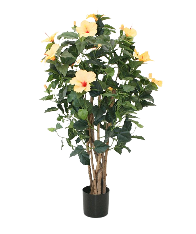 Hibiscus deluxe 100cm - oranje