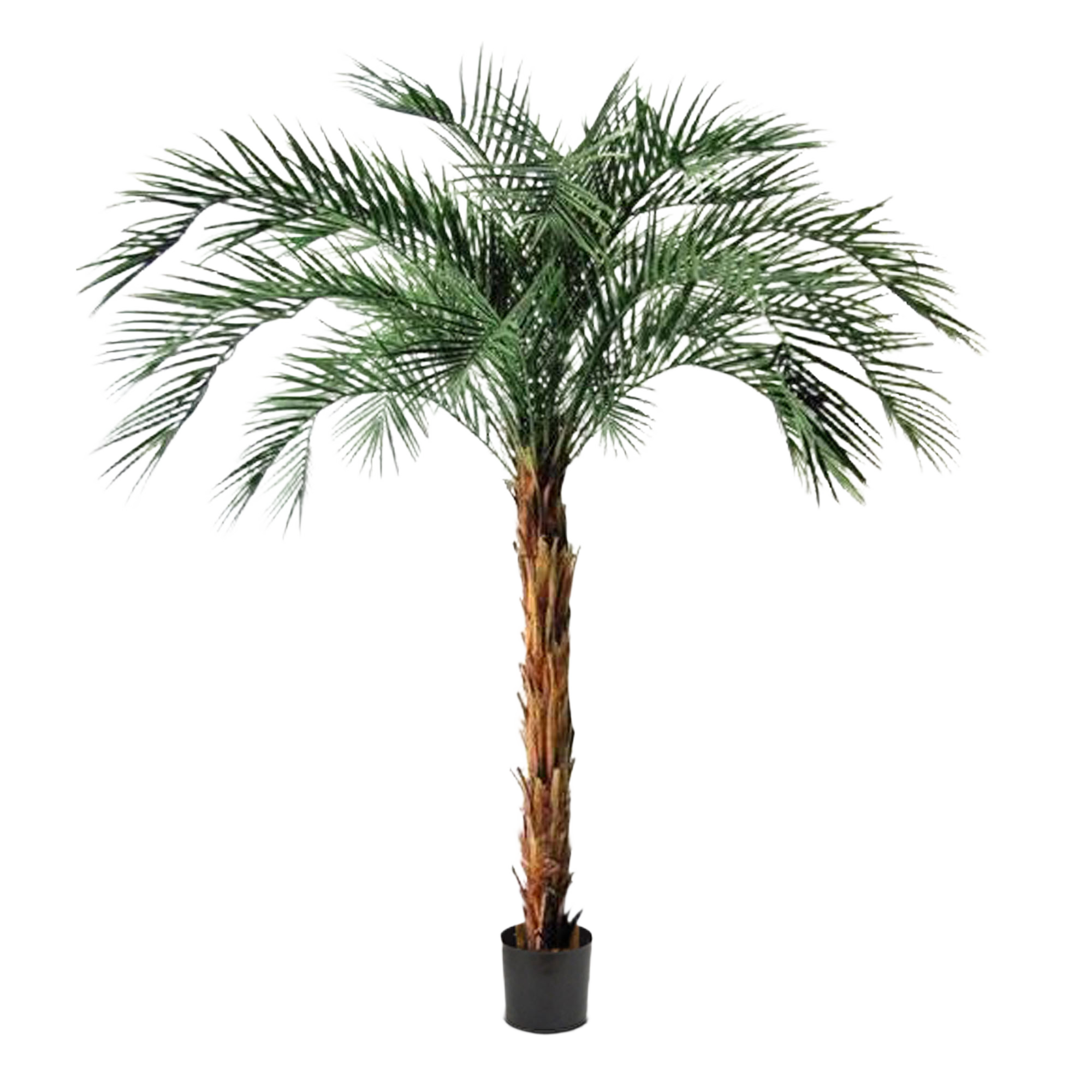 Phoenix kunstpalm OD deluxe 225cm