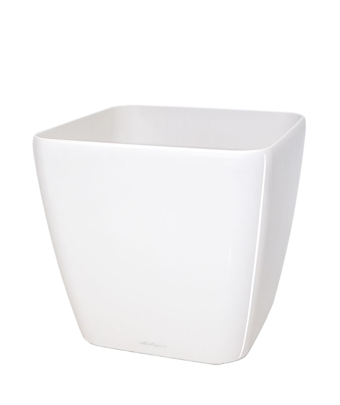 Lechuza Quadro sierpot 35x35x33 cm wit