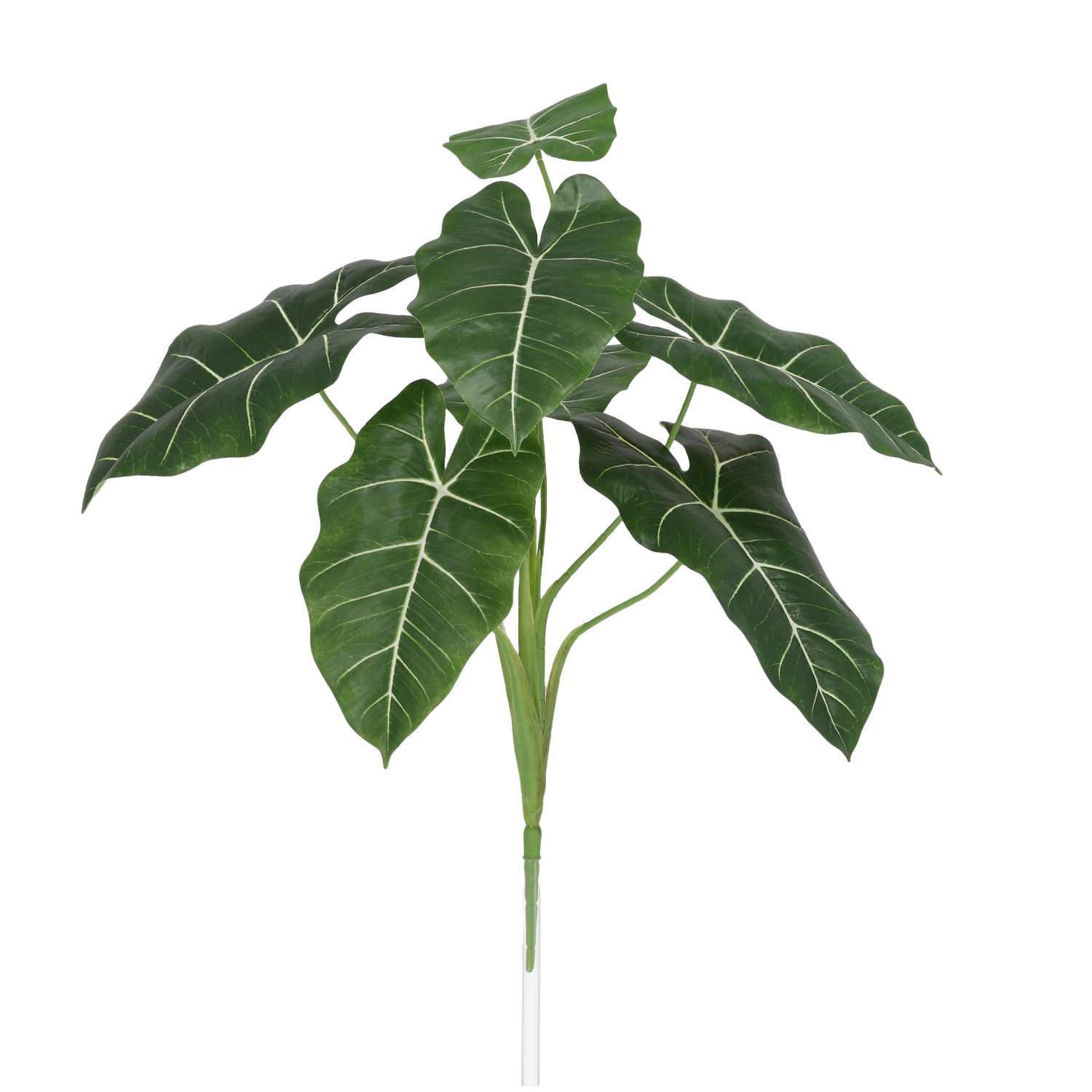 Alocasia Frydek Kunstplant 60cm Groen