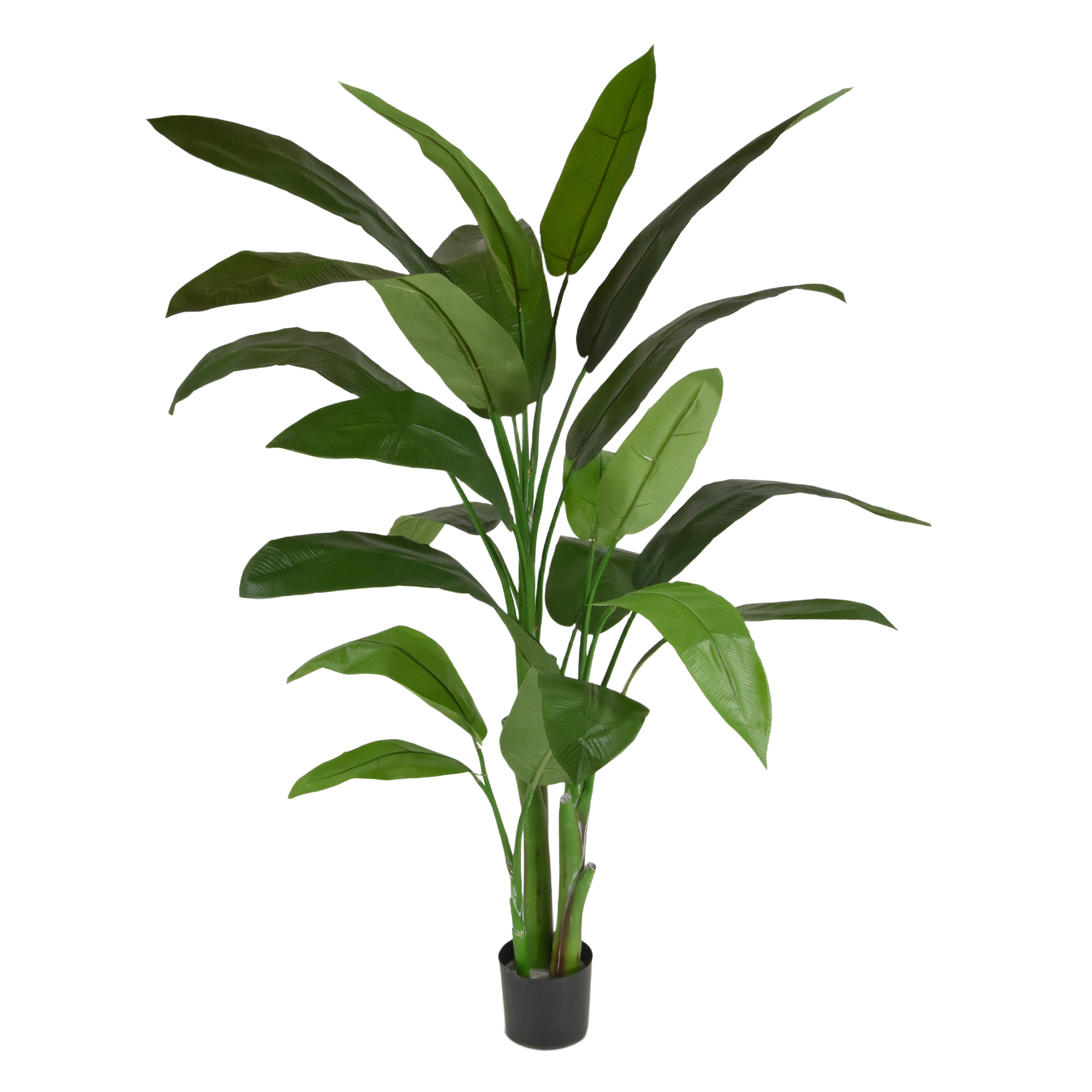 Heleconia kunstplant 170cm - groen