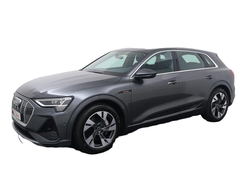 Audi e tron occasion