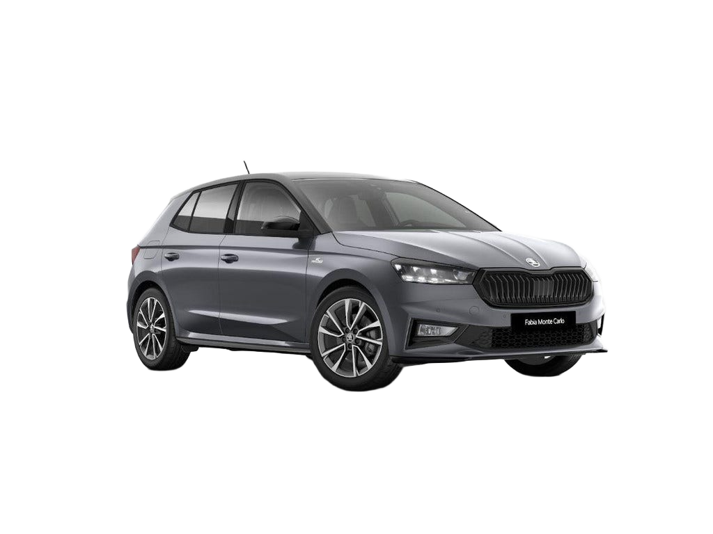 Skoda Fabia occasion
