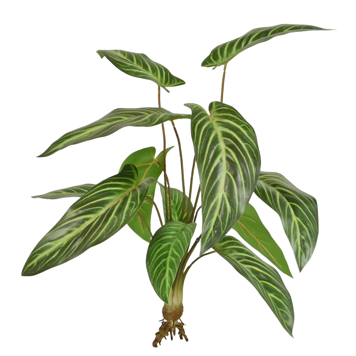Caladium Lindenii kunstplant 50cm