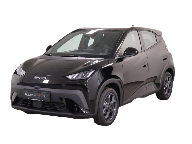 BYD DOLPHIN SURF occasion