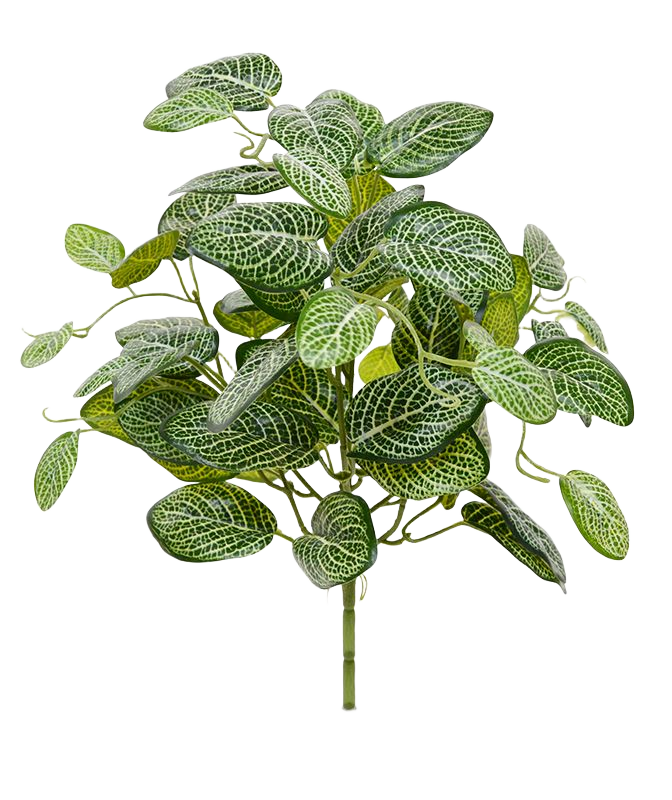 Fittonia kunstplant 40cm - bont