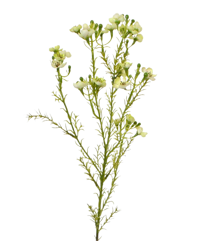 Waxflower kunsttak 65 cm groen