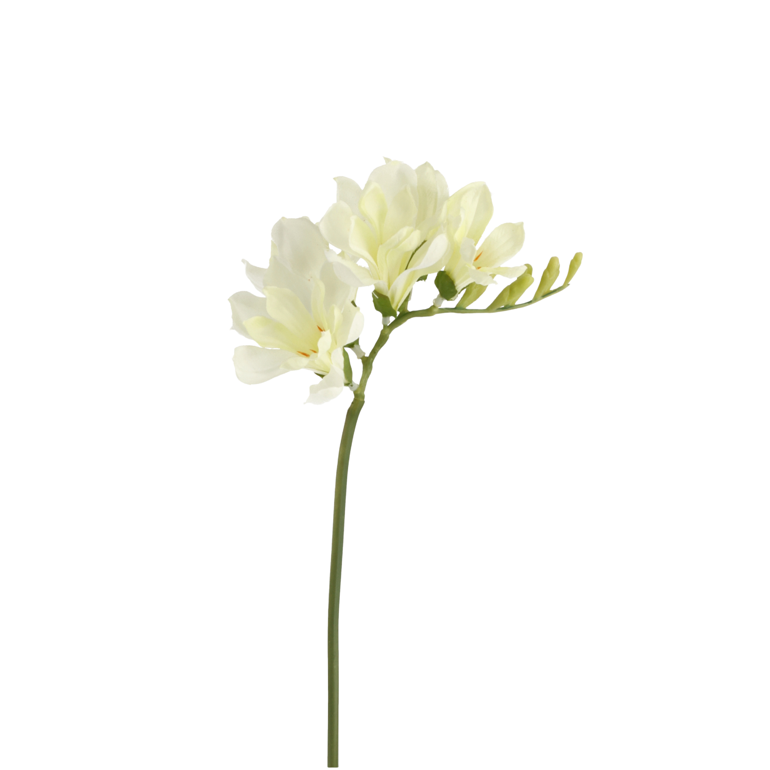 Freesia Kunsttak 53cm Creme