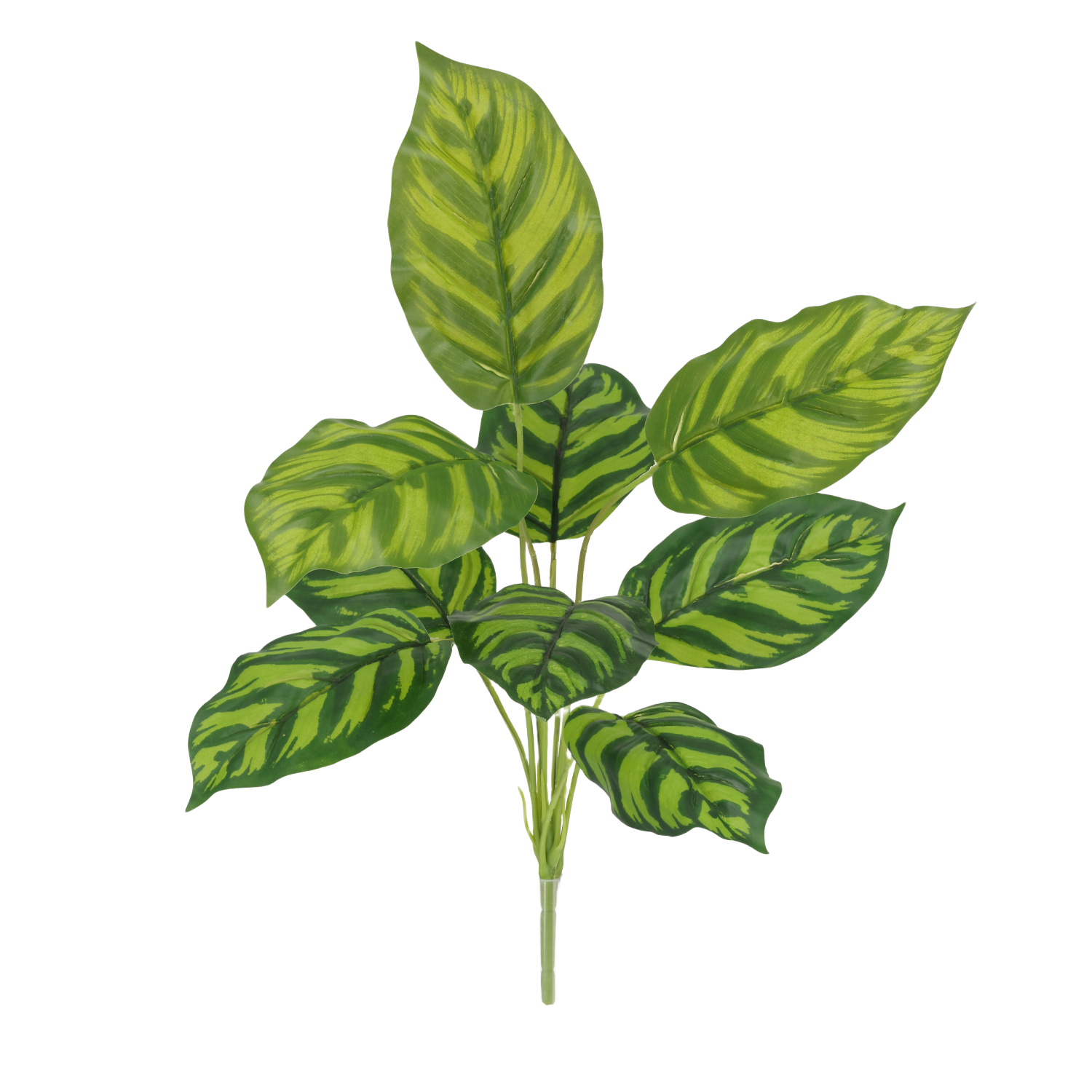 Calathea Maranta Kunstplant 40cm