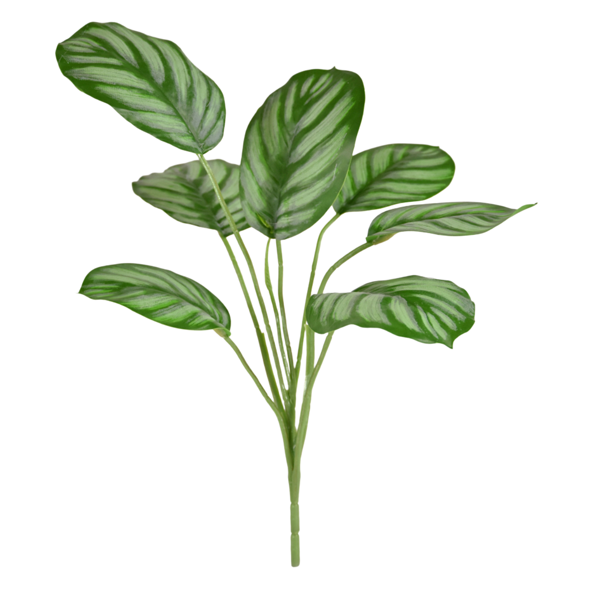 Calathea Maranta kunstplant 30cm