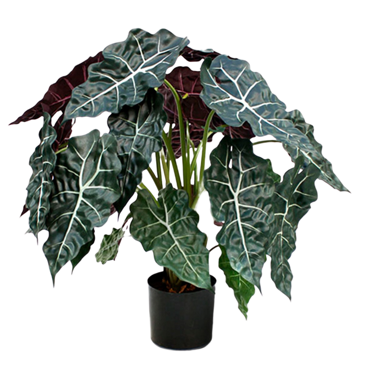 Alocasia kunstplant 75cm