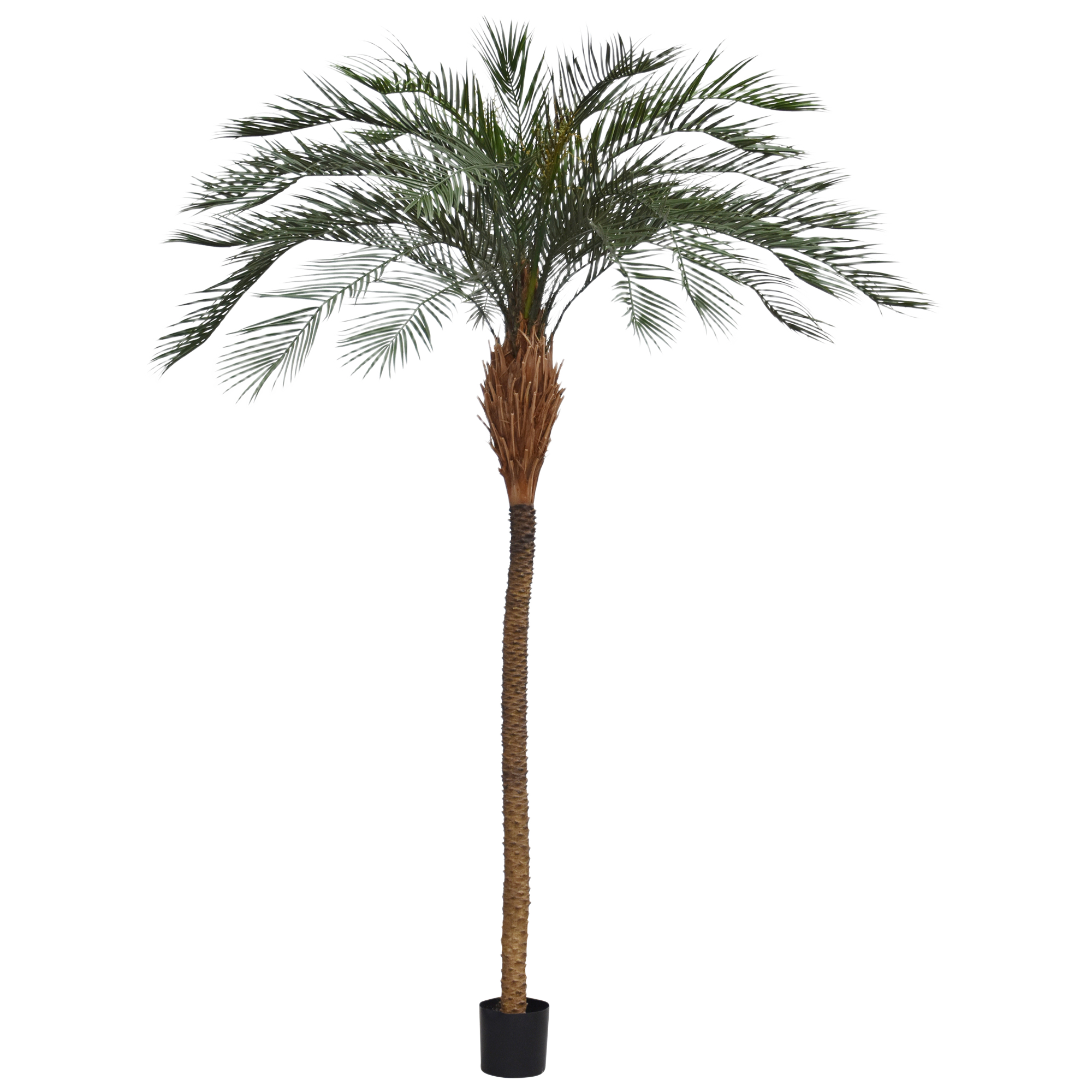 Phoenix kunstpalm deluxe OD 300cm