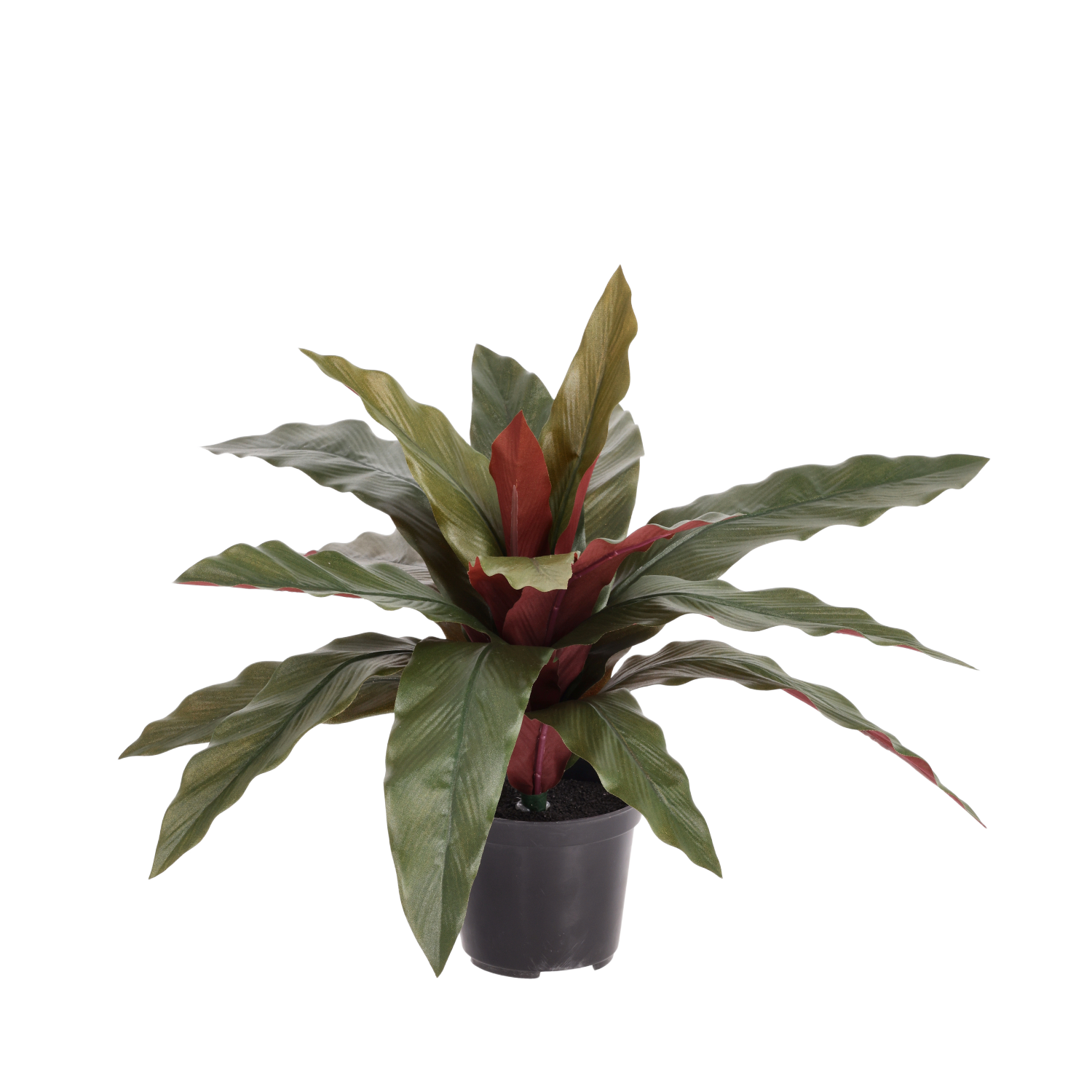 Calathea 30cm Kunstplant groen/rood in kweekpot 10cm