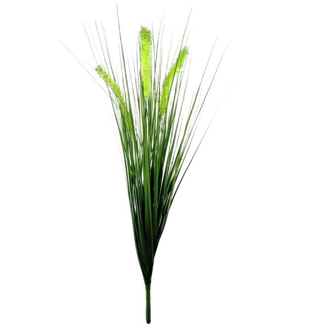 Pennisetum kunst Pluimgras plant 50cm