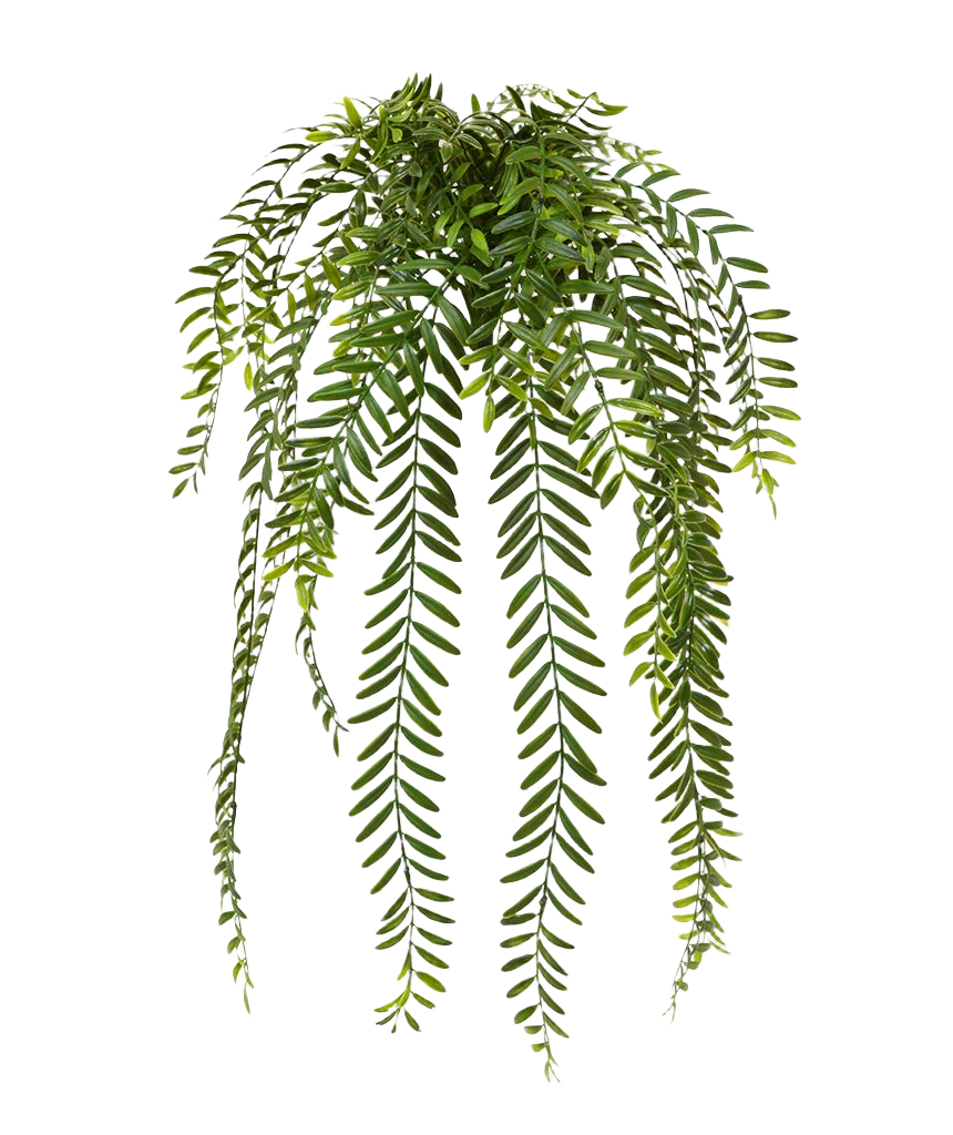 Columnea kunst hangplant 65cm