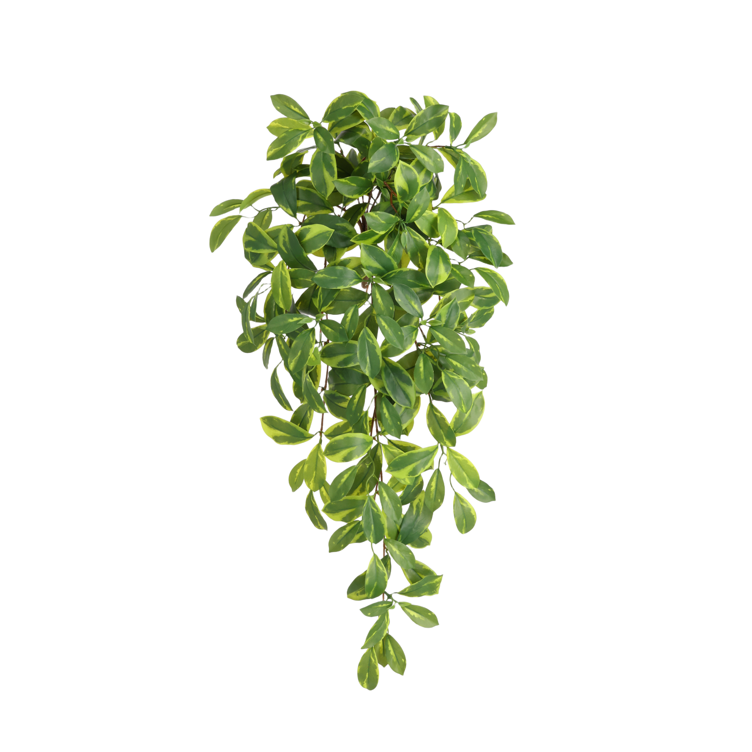 Hoya Carnosa Kunst Hanger 80cm RT