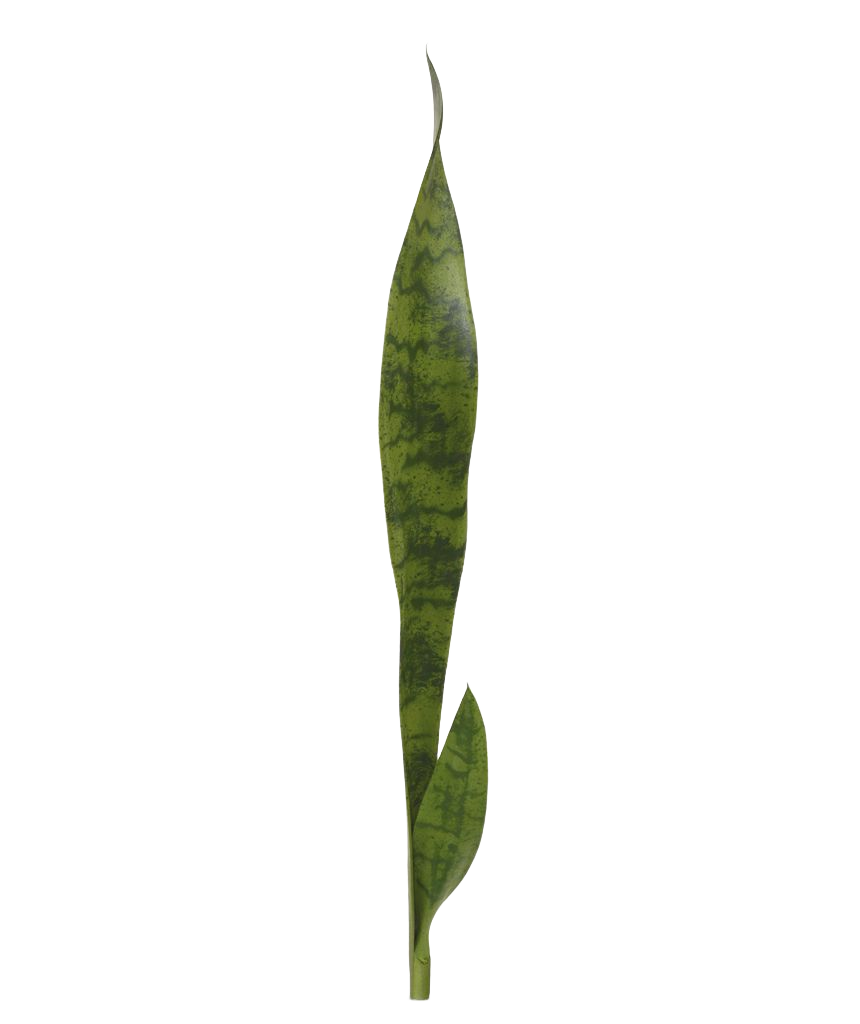 Sanseveria kunstplant 60 cm steker
