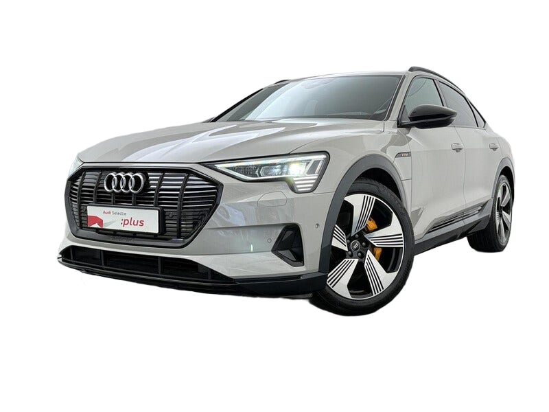 Audi e tron occasion