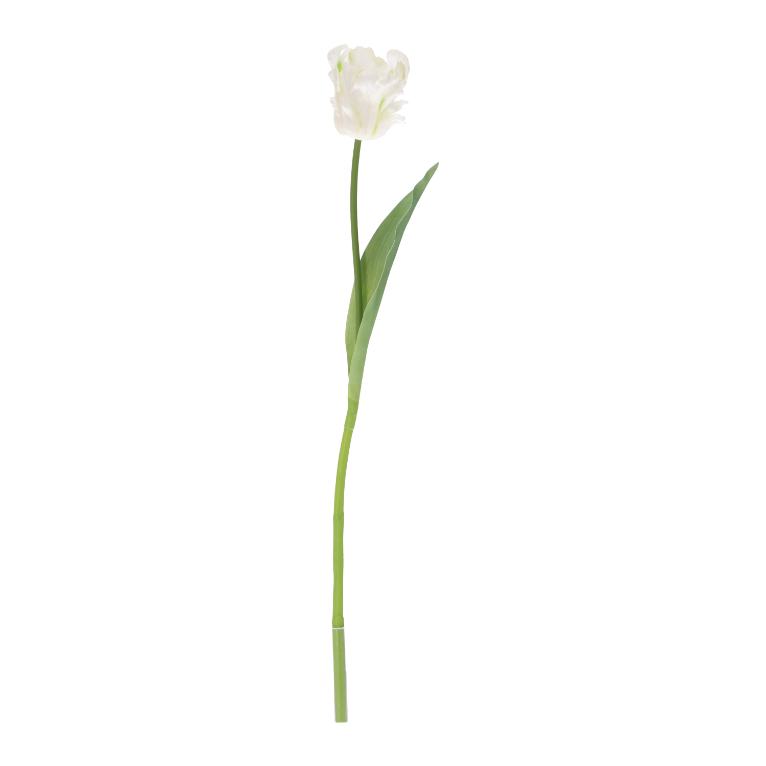 Papegaai Tulp RT Kunstbloem 60cm Creme