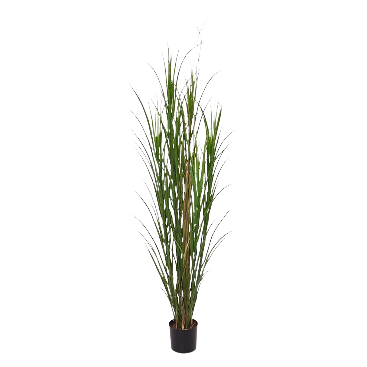 Kunst Rietgras plant deluxe 165cm - groen - UV bestendig