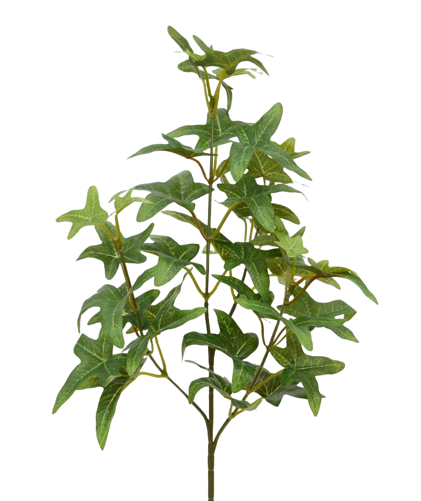 Ster Hedera kunsttak 55cm