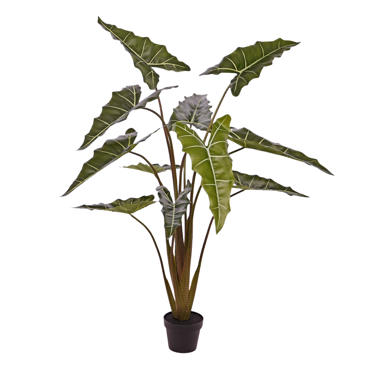 Alocasia Sarian kunstplant 140cm