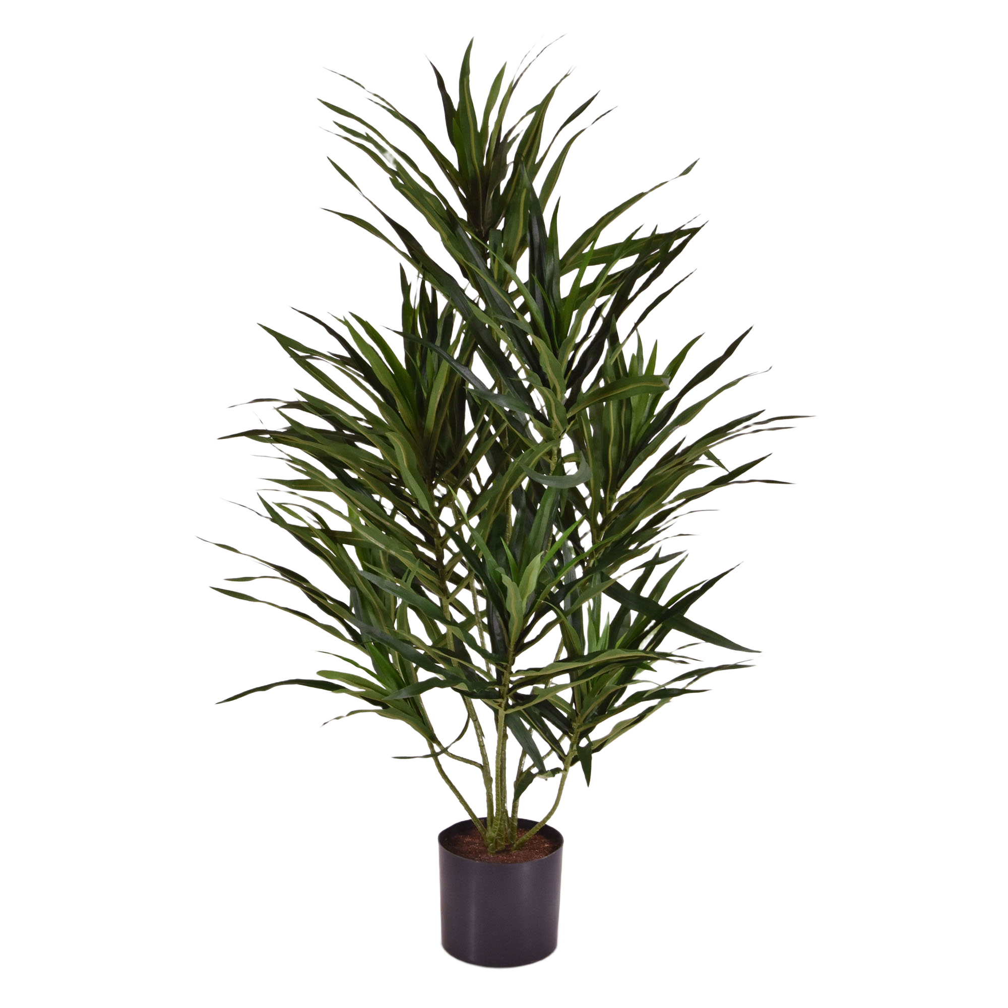 Draceana Reflexa Anita kunstplant 70cm