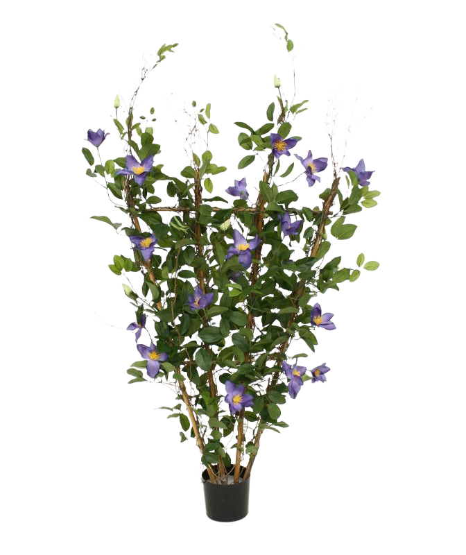 Clematis kunstheg 125cm - paars