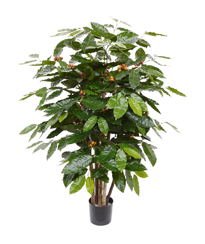 Coffee Arabica kunstplant 100cm