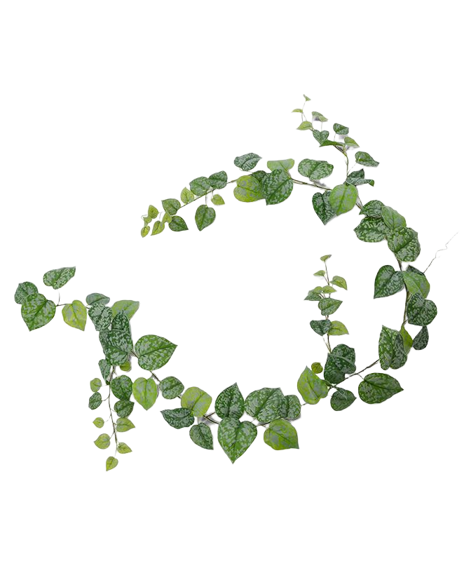 Scindapsus Pictus kunst guirlande 180cm
