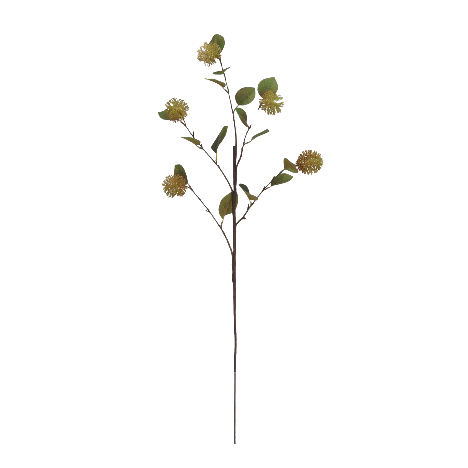 Kunst Leucospermum tak 85 cm Groen afbeelding 1
