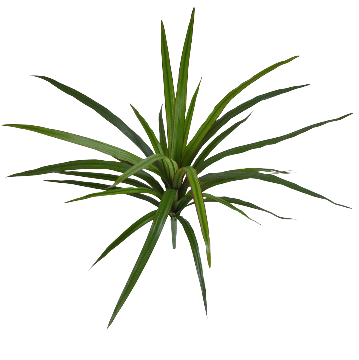 Draceana Marginata Kunstplant 40cm