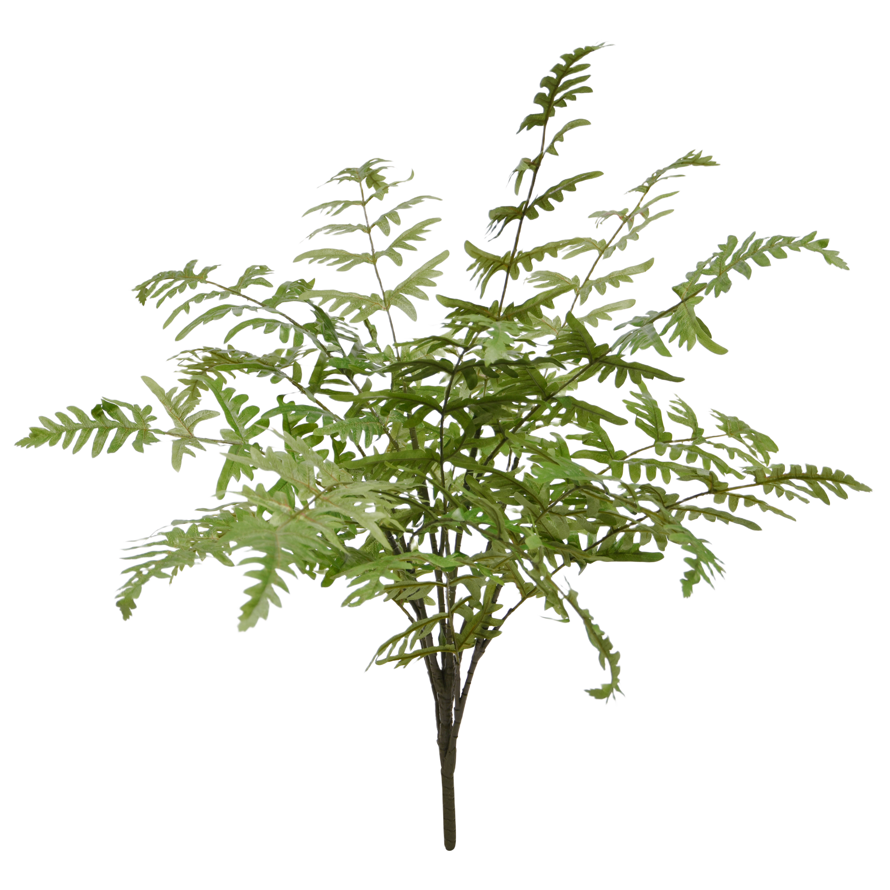 Pteris Ensiformus kunst varen 60cm afbeelding