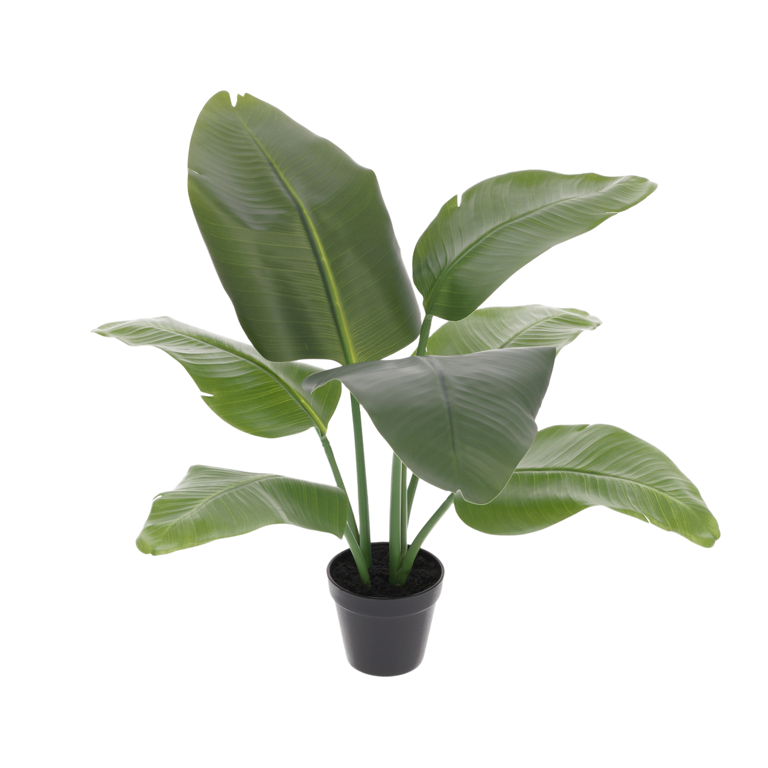Strelitzia Nicolai kunstplant 60cm