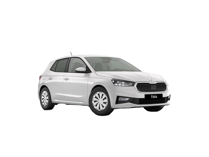 Skoda Fabia occasion