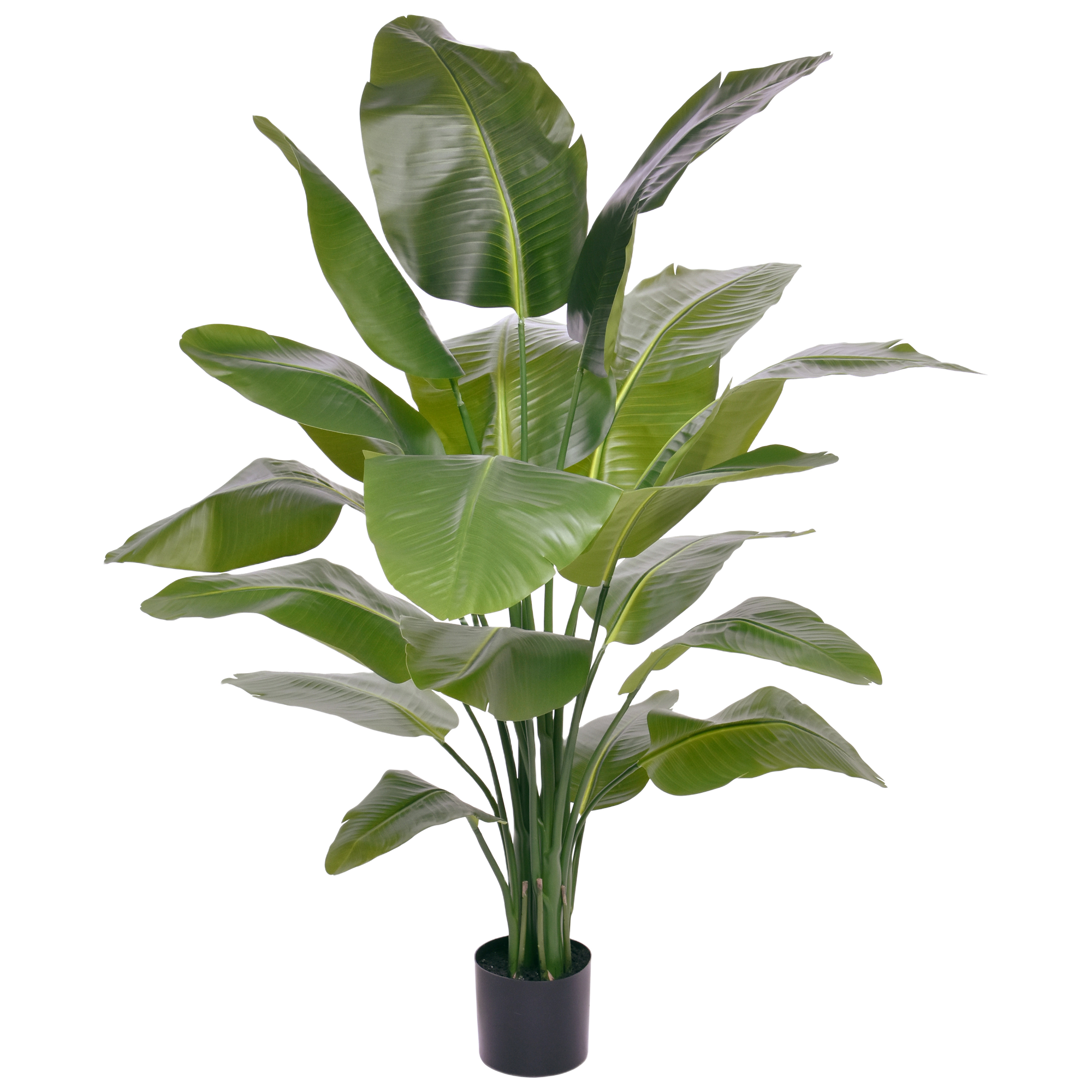 Strelitzia Nicolai XL Kunstpalm 155cm afbeelding 1