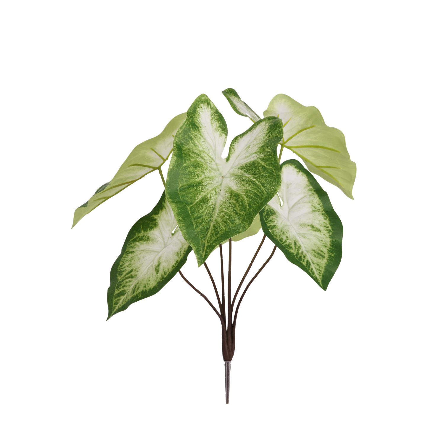 Caladium Aron Kunstplant 45cm
