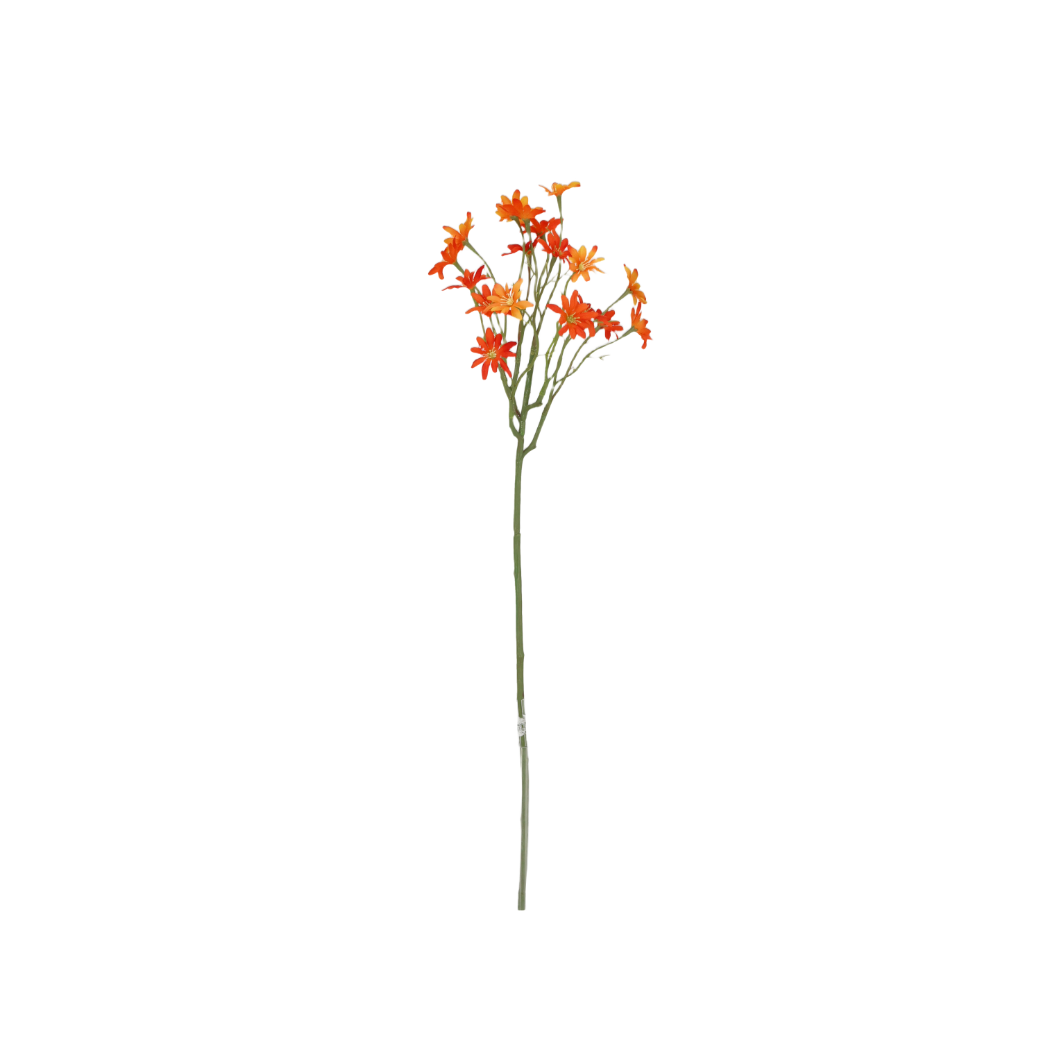 Zee Aster Kunsttak 57cm Oranje