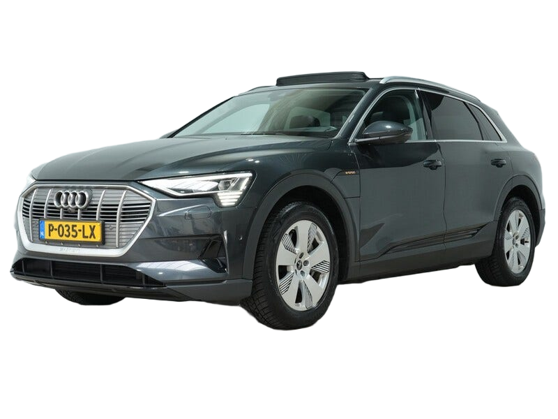 Audi e tron occasion