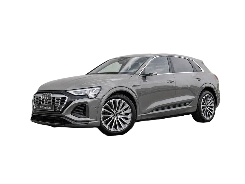 Audi Q8 e tron occasion
