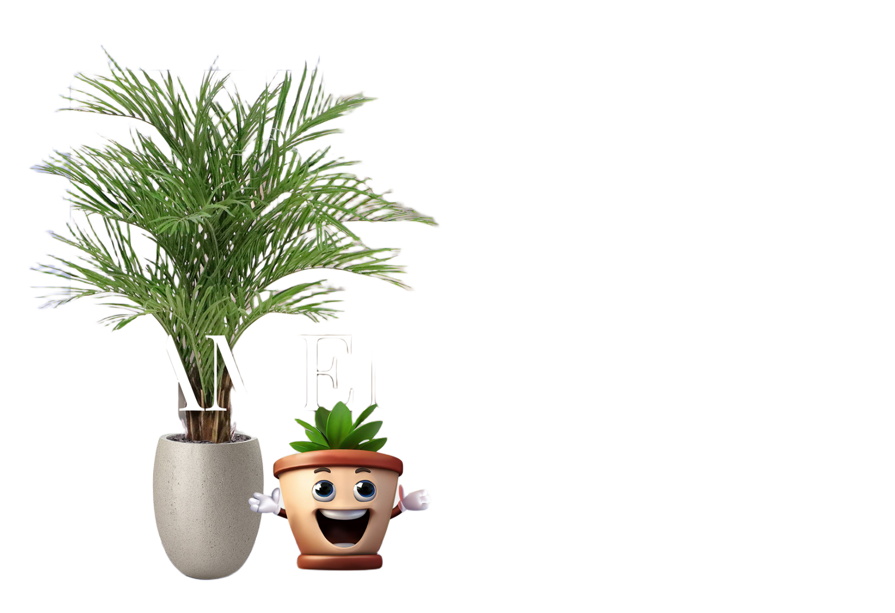 Digitale Cadeaubon Maxifleur - Samenwonen afbeelding