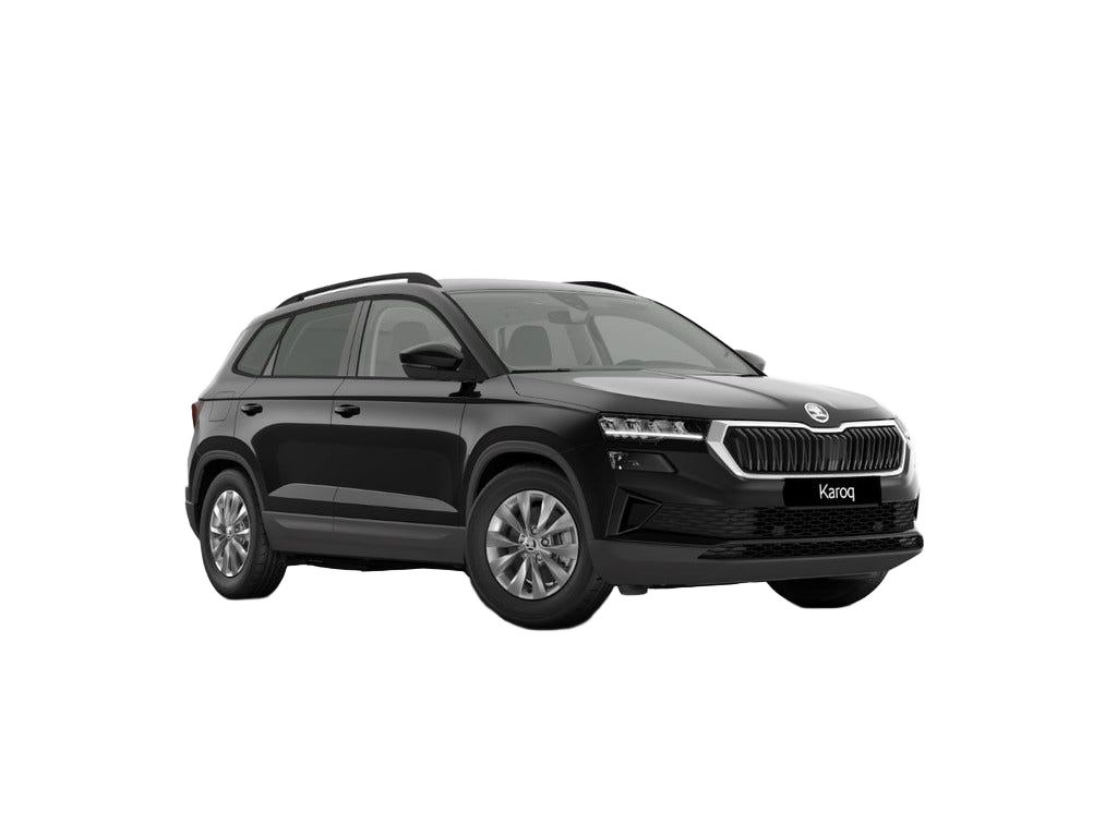 Skoda Karoq occasion