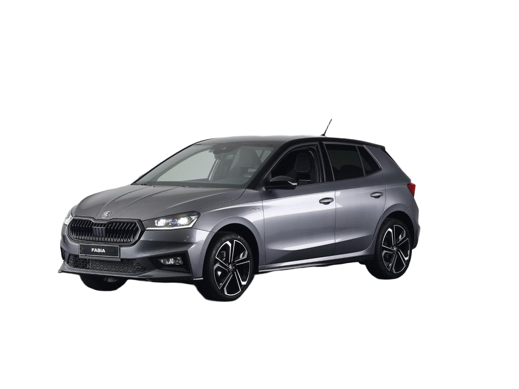 Skoda Fabia occasion