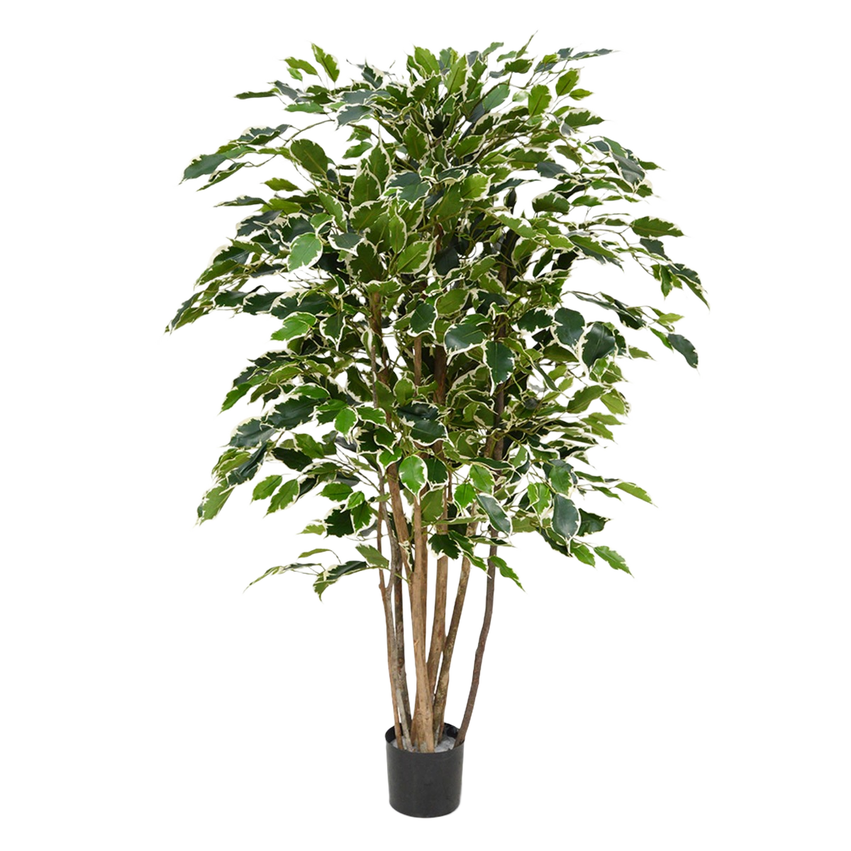 Ficus Exotica deluxe kunstplant 125cm - bont