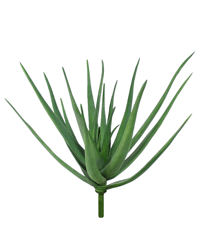 Aloë deluxe kunstplant 60cm